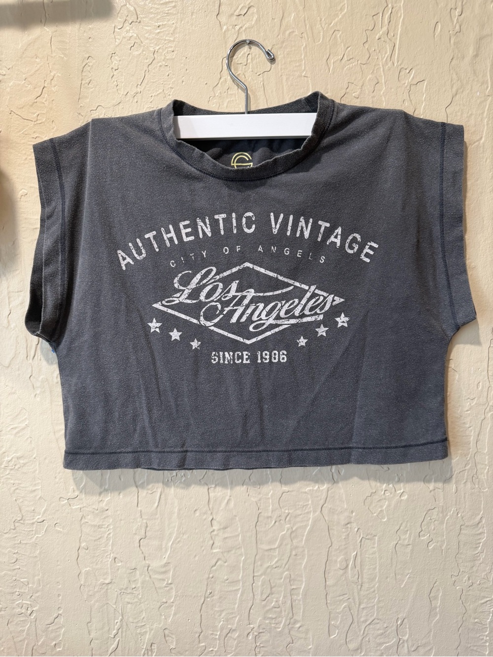 Authentic Vintage Los Angeles Charcoal Crop Top